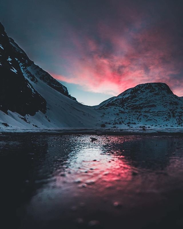 cecelia_hopes's tweet photo. #todaysinpiration #pinkbugdesignstudio #pinkbug #design
Tags✌: #nature #freedom #escape #silence : @away__from__here https://t.co/6fzFTk5eKO