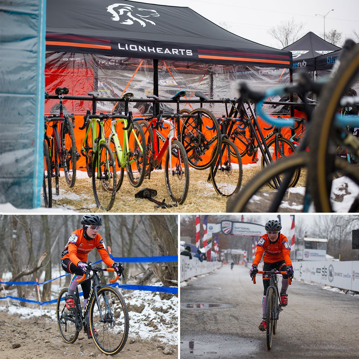 LionHearts Jr Racing (@lionheartscx) / Posts / X