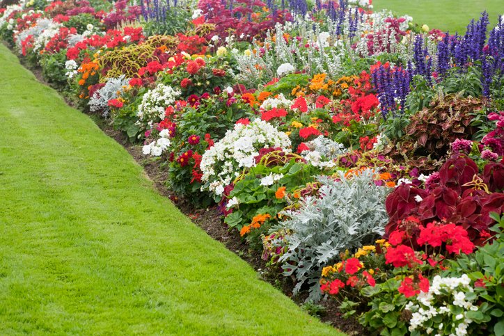 WeArePlanetSafe's tweet photo. Planet Safe is all natural, organically based, and contains no genetically modified organisms #planetsafe #MANTS2017 #MANTS #booth631 https://t.co/f5bIh4W2lD