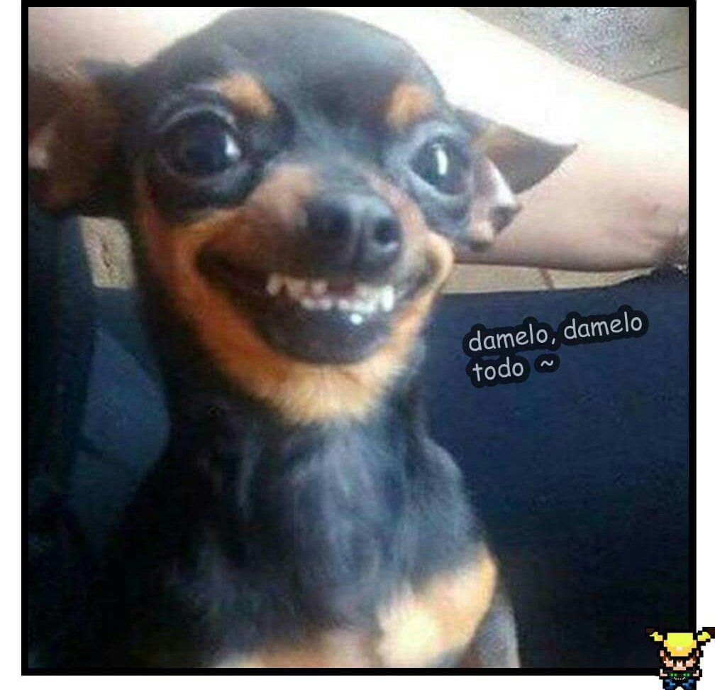 esdavidmen's tweet photo. -mama ya no quiero el pollo
-bueno dáselo ala happy https://t.co/1niwJKhSR6