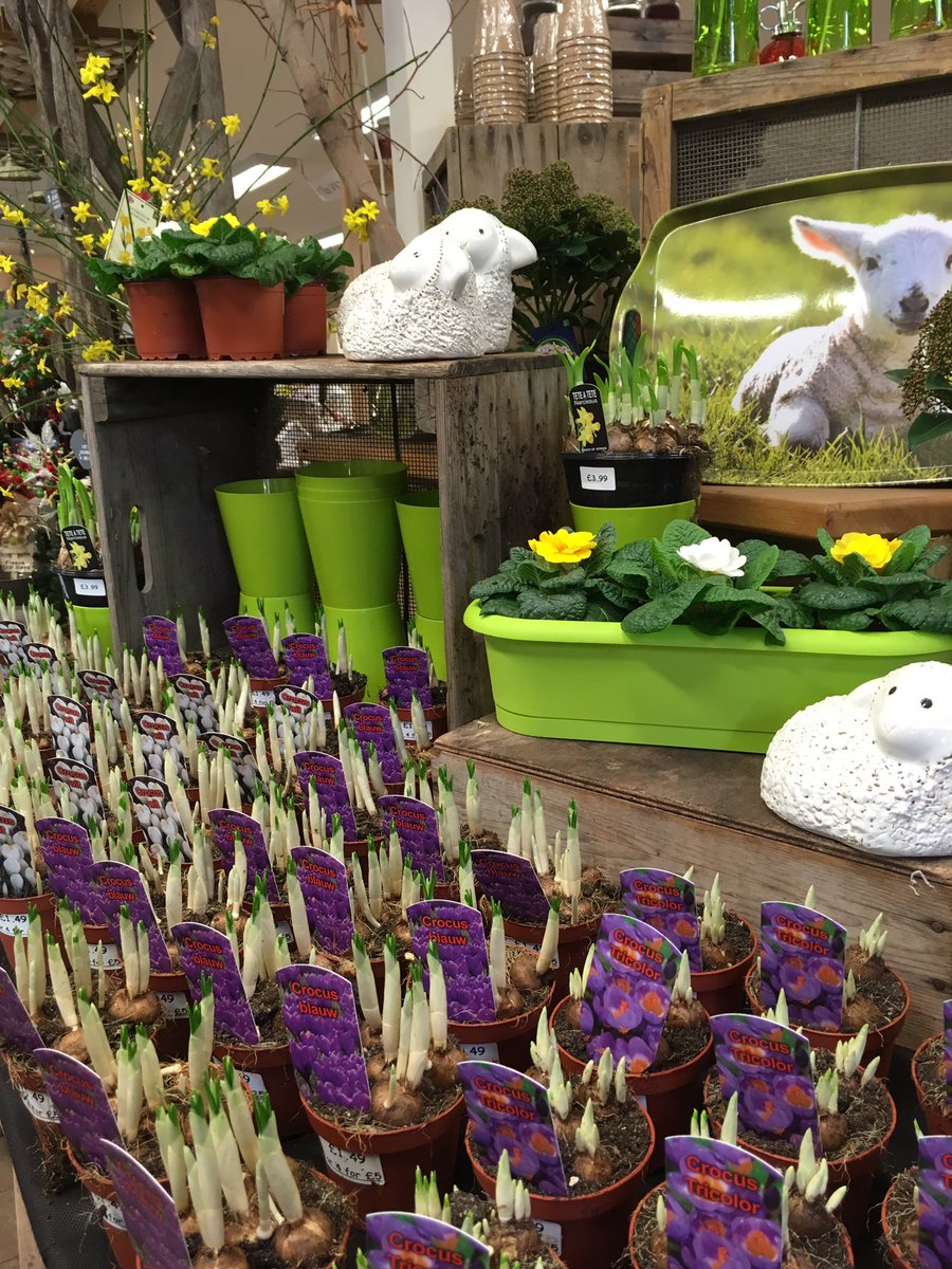 VisitPlantation's tweet photo. First signs of spring arrived in our garden shop this week &amp; delicious new menu being served in our cafe too 😋🌸 #Knutsford @TweetCheshire https://t.co/JRDel4wMBW