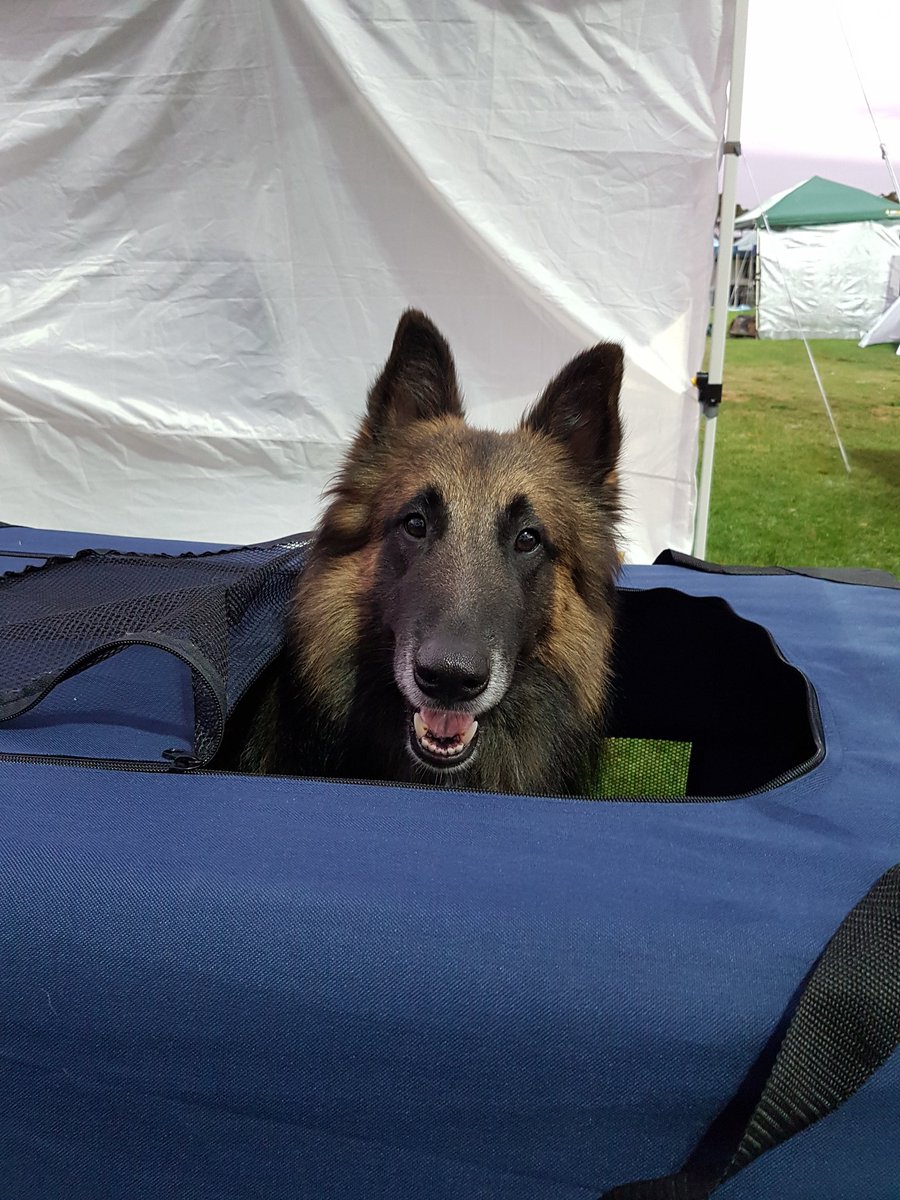 TrufyH's tweet photo. Peek a boo. Show time. Just thought I would check out whos who. #keepingsafe.#lovinglife #amendthebill #makeitaboutwelfare https://t.co/I6f9lIEPvJ