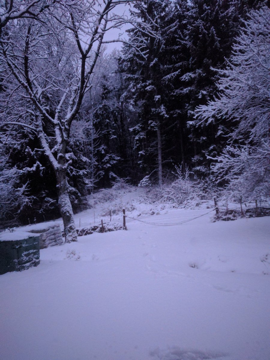 diepharm's tweet image. Nach #Regen und #Blitzeis heute fast den ganzen #Tag #geschneit, #verzaubert #diepharm #südburgenland