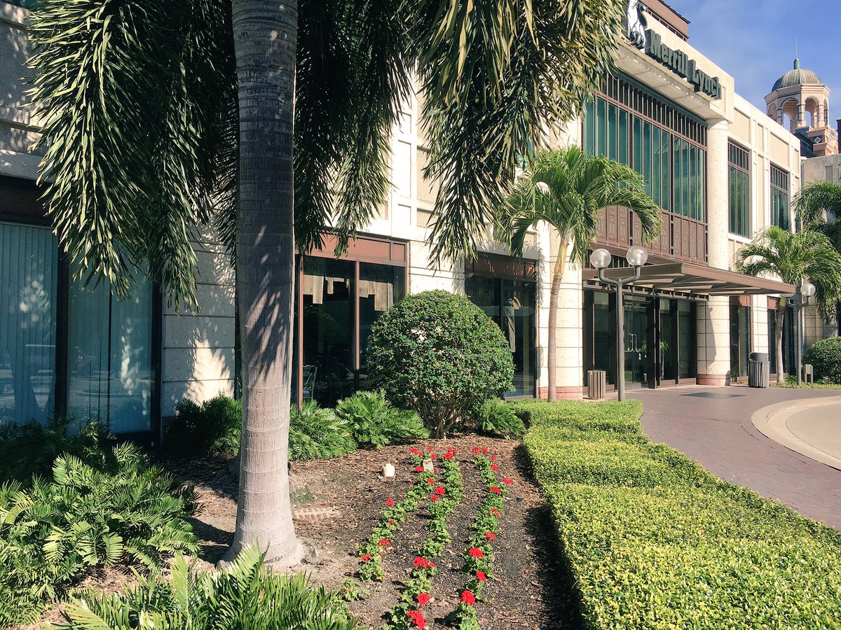 KuceraProperty's tweet photo. Hope you're enjoy this gorgeous day! #dtsp #stpeterising https://t.co/CJKpgNAvZ7