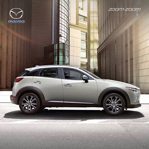 Mazda Picacho tweet media