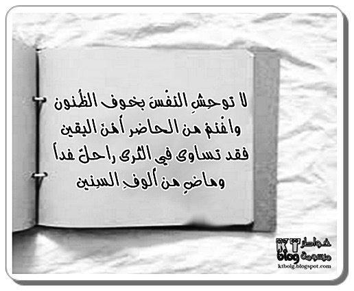 لا توحِشِ النَفْسَ بخوف الظُنون واغْنَمْ من الحاضر أمْنَ اليقين