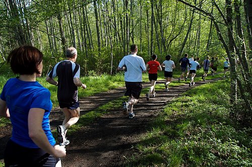 RunDestination's tweet image. Cougar Mountain Regional Wildland Park 
(Issaquah, Washington)