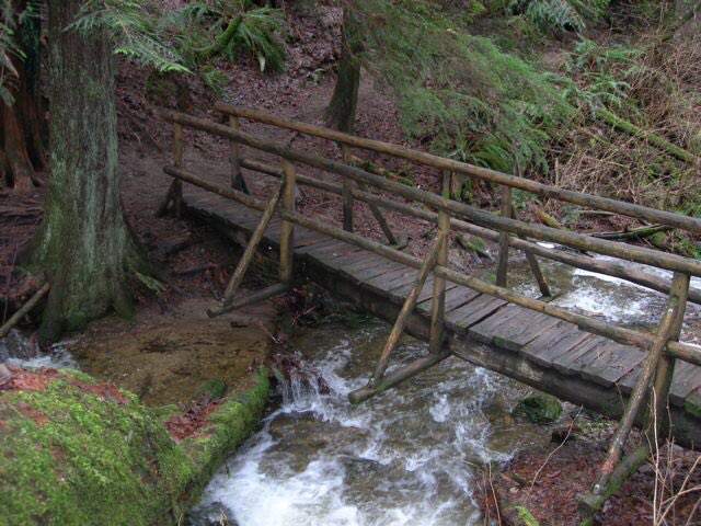 RunDestination's tweet image. Cougar Mountain Regional Wildland Park 
(Issaquah, Washington)