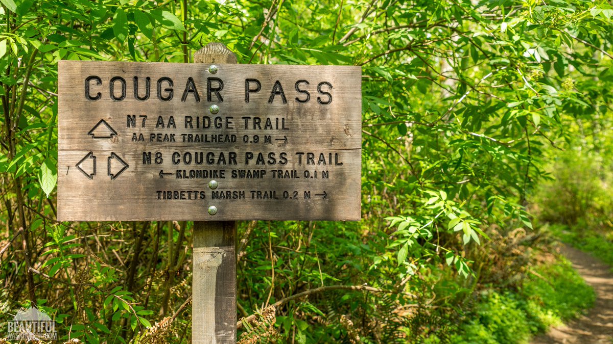 RunDestination's tweet image. Cougar Mountain Regional Wildland Park 
(Issaquah, Washington)