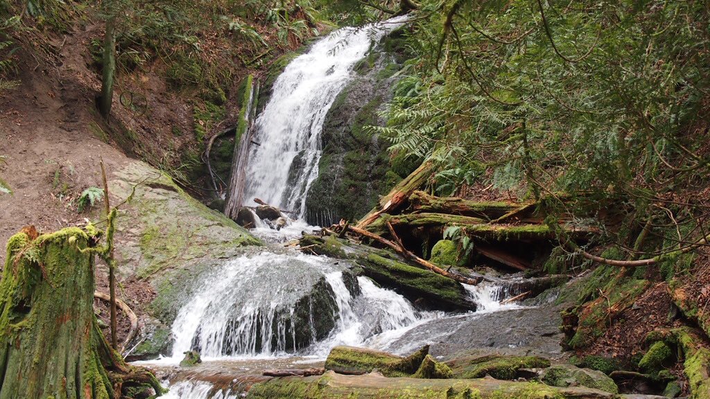 RunDestination's tweet image. Cougar Mountain Regional Wildland Park 
(Issaquah, Washington)