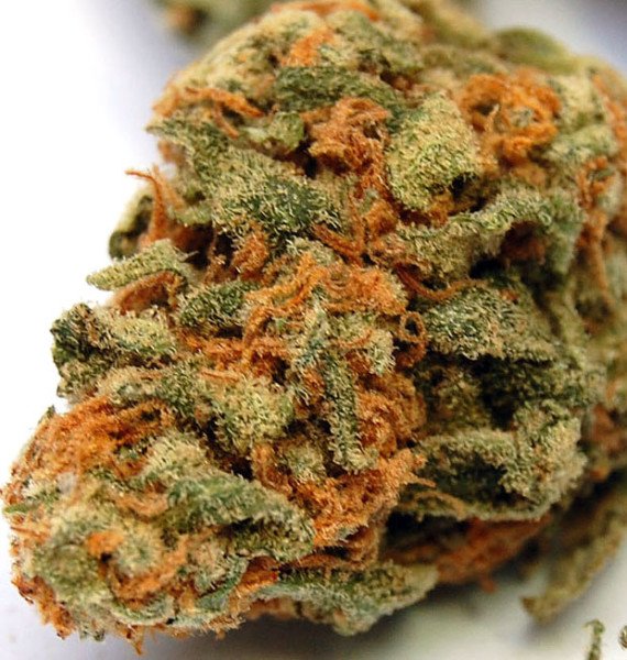 Strain: Banana Kush
Class: Hybrid
Taste: Sweet and Tropical
THC: 16-27%
*Makes you Relaxed, helps with Stress