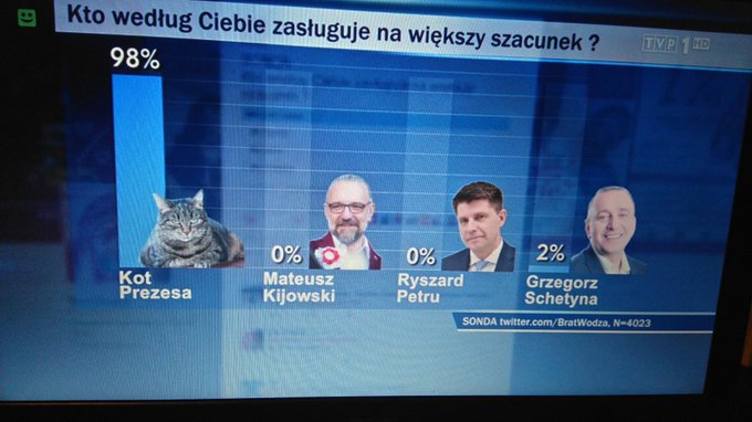 Zobacz obraz na Twitterze