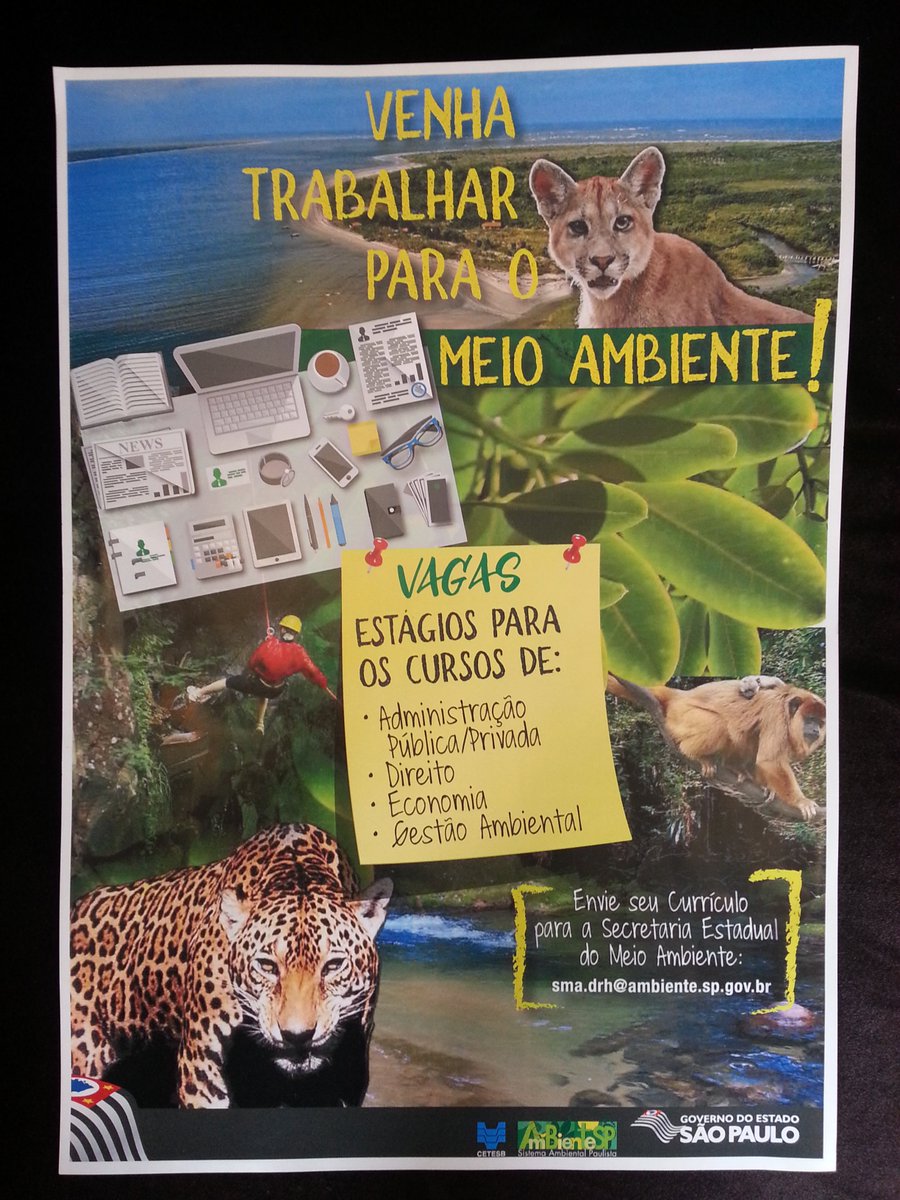 fabio_feldmann's tweet photo. Vagas para estágio na Secretaria Estadual de Meio Ambiente. https://t.co/5pgMZz2CgH