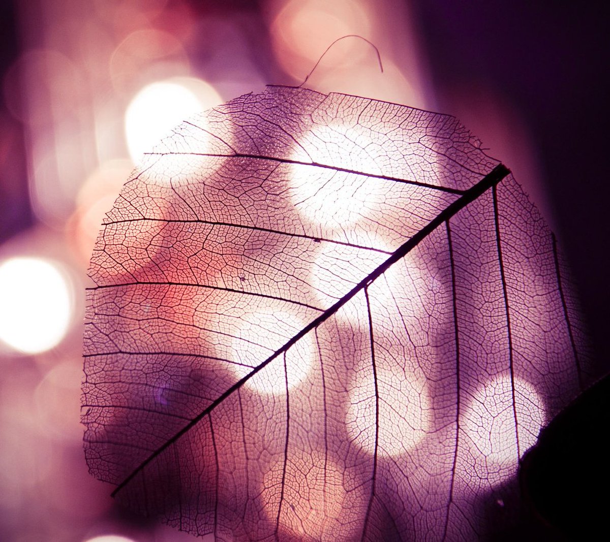 إحفظوا قلوبكم... فحتما هناك من يستحقها💕🍃