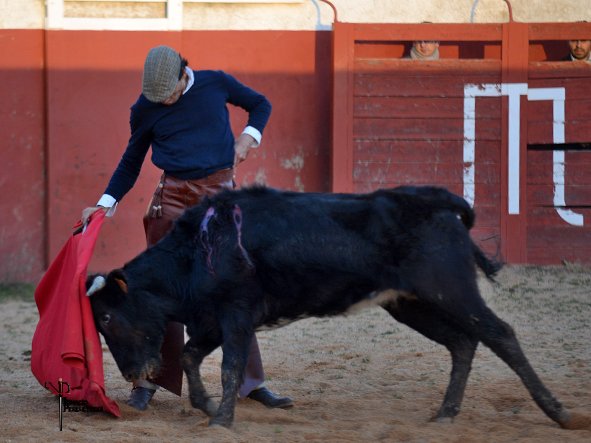 ignapereletegui's tweet photo. Gran tarde de tentadero en #Valdefresno con @CurroDiazOf https://t.co/K4qW6pFExf