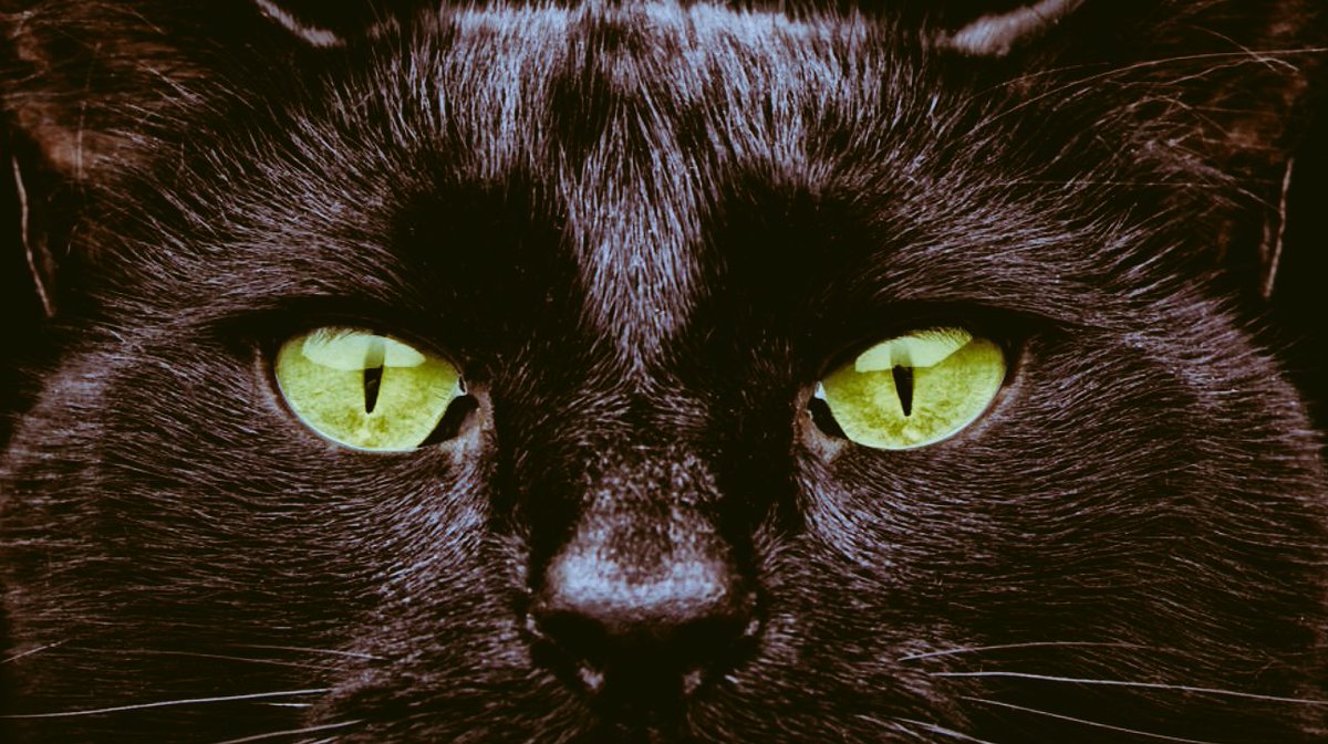 Max2759's tweet image. Friday 13th........😰😨😱