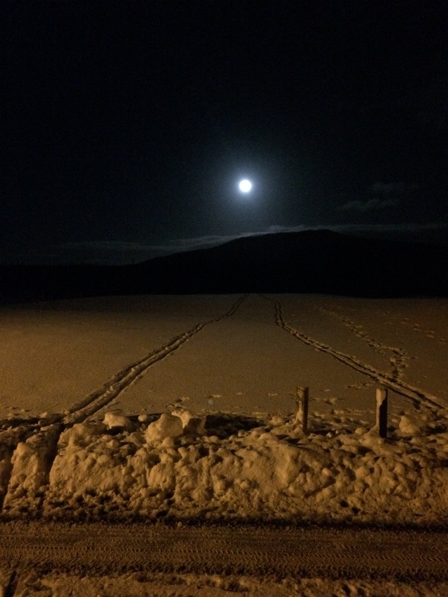 goselfcatered's tweet photo. Fresh tracks for a night ski, great night for it, bliss!!
#aviemore #snow #cairngorms https://t.co/Pfe9vDpzt7