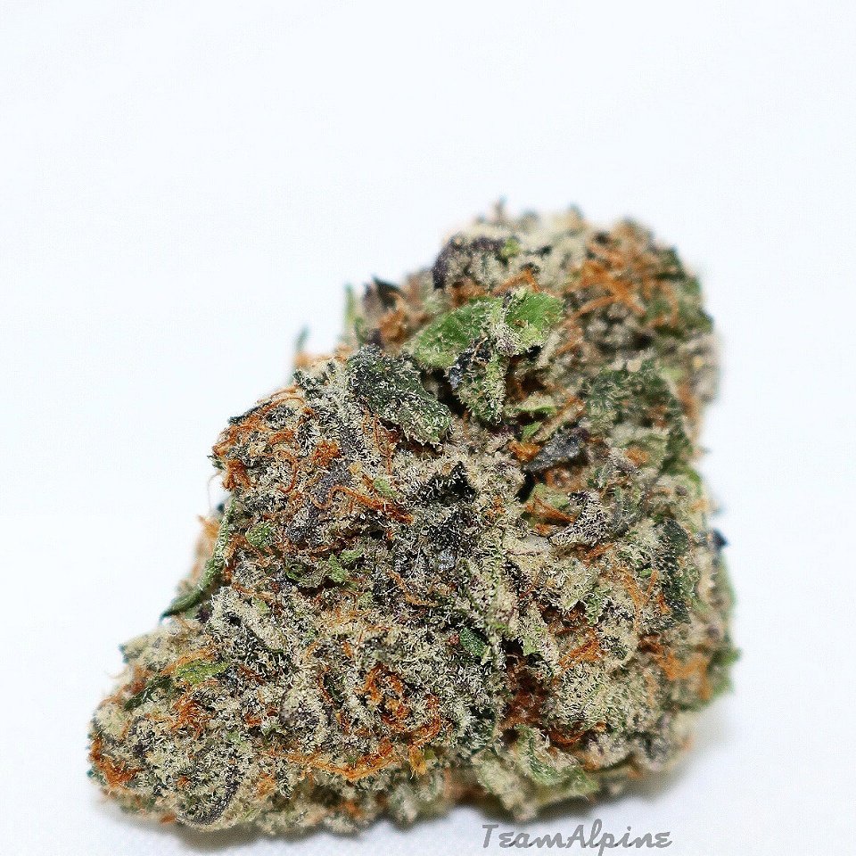 teamalpine916's tweet photo. #Sherblato! (Sunset Sherbet x Gelato # 45) Always A Patient Favorite When It's On Our Shelf! Come On In To #AlpineAlternative &amp; Snag Some! https://t.co/6hHmXQvE5N