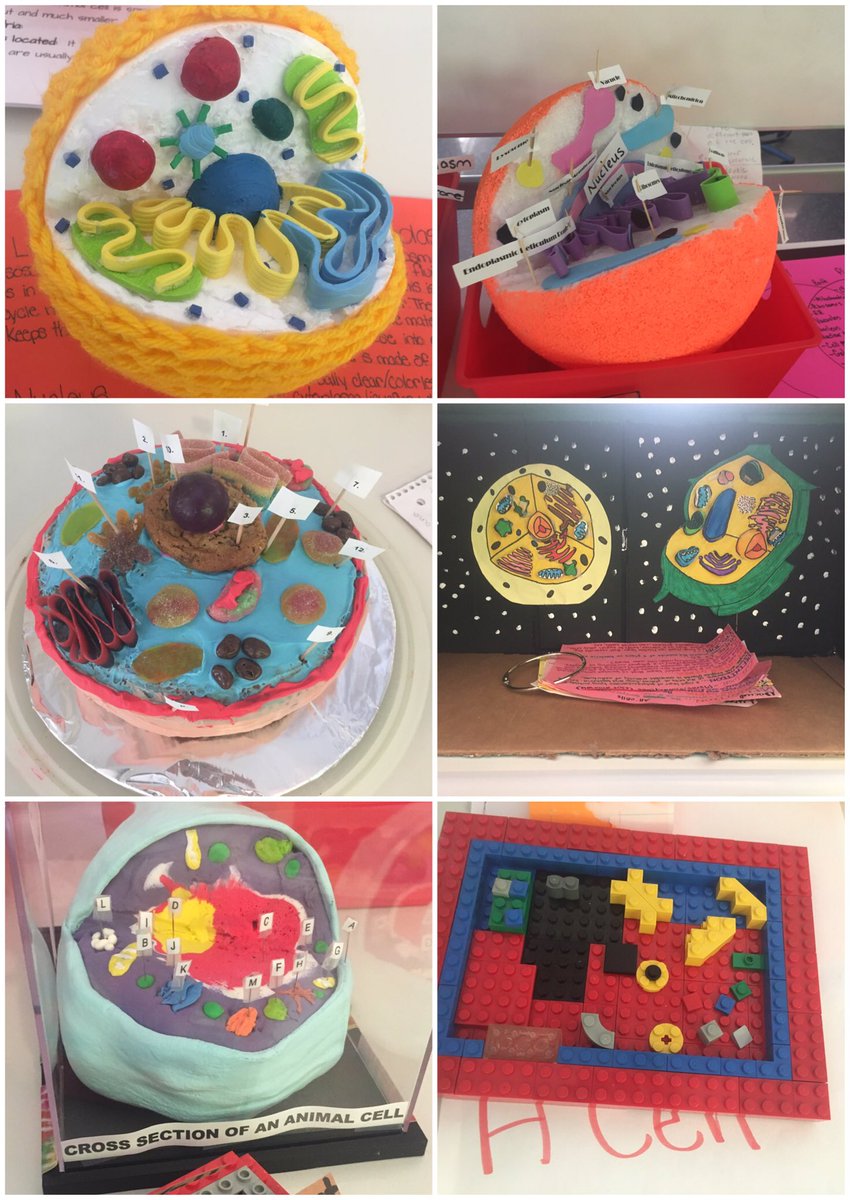 MYclassroomSK's tweet image. Some next level #cellmodels presented today @dp_school Very impressed!