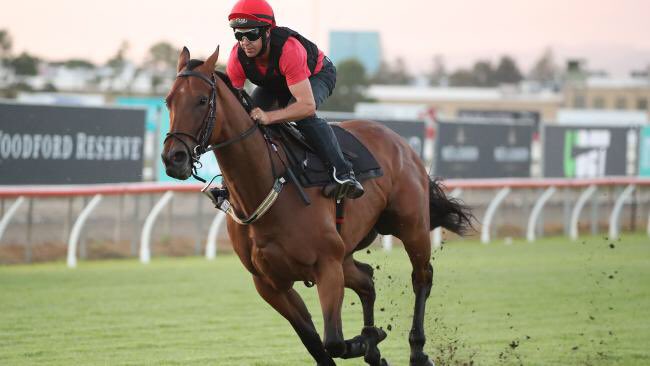 KennewellRacing's tweet photo. Pumped to have two great runners here @mmsnippets Gold Coast today..
Best of luck to everyone involved!
ππ¨π¨π¨
#baligari
#viddora https://t.co/JlGscX3jKX