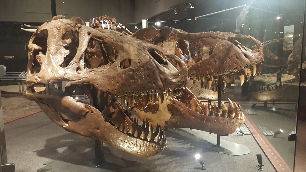 Montana State CUWiP tweet media