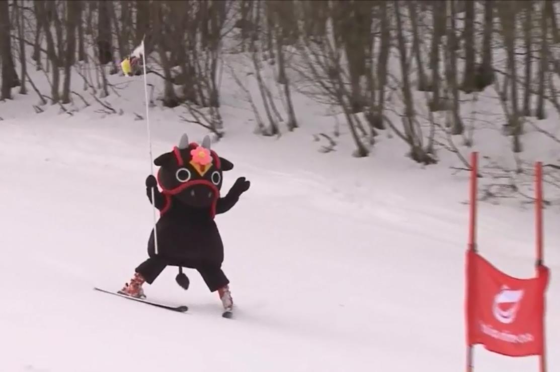 花田舞太郎 公式 北広島町観光大使 スキーだいすきーだモー O 雪遊びにおいでよ 北広島町 花田舞太郎 ユートピアサイオトスキー場 芸北高原大佐スキー場 やわたハイランド１９１リゾート スキーパーク寒曳 雄鹿原高原スキー場 芸北国際