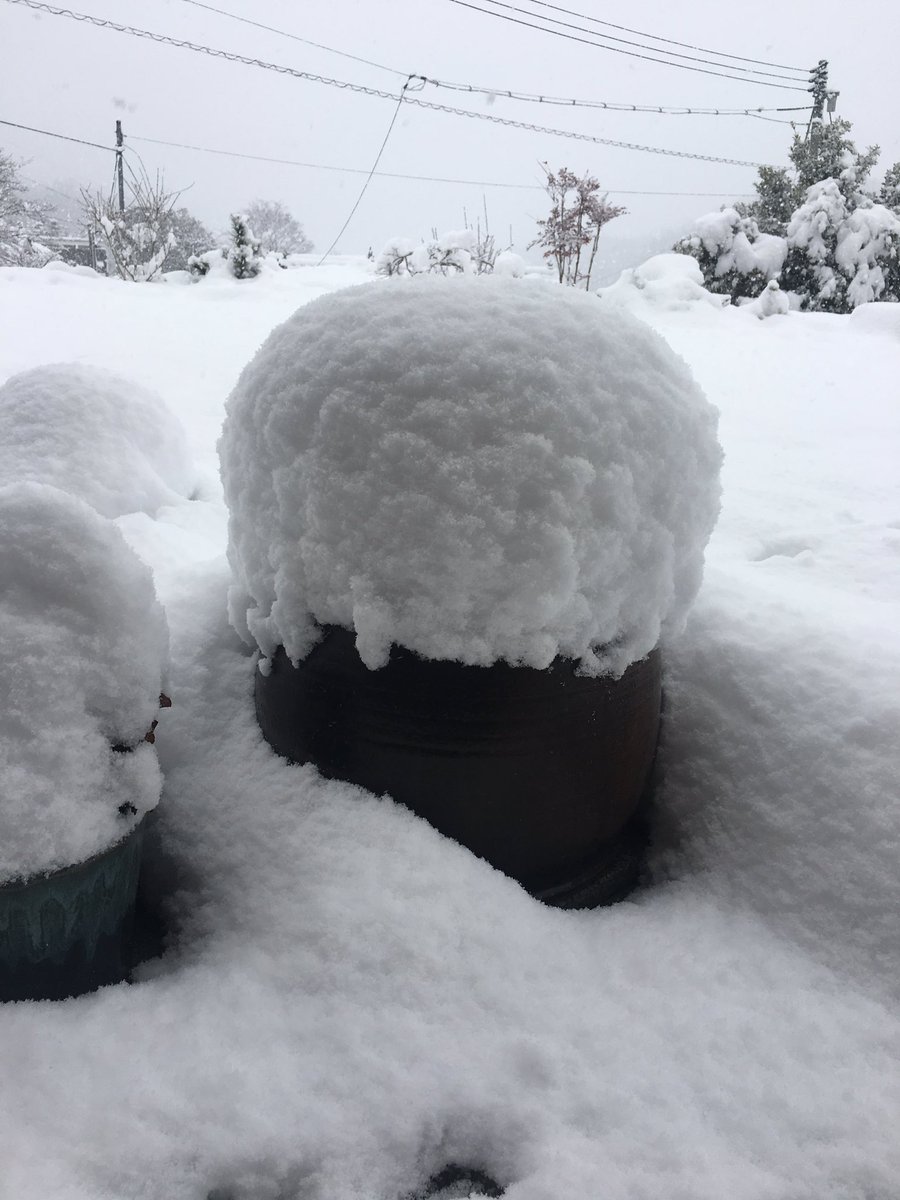 3jsbrioriomi's tweet photo. 雪だょー！
20㌢つもってる。
さむい、、、
職場ついたらSummer Madness。
ながそう、（笑） https://t.co/k3MzKPzX9c