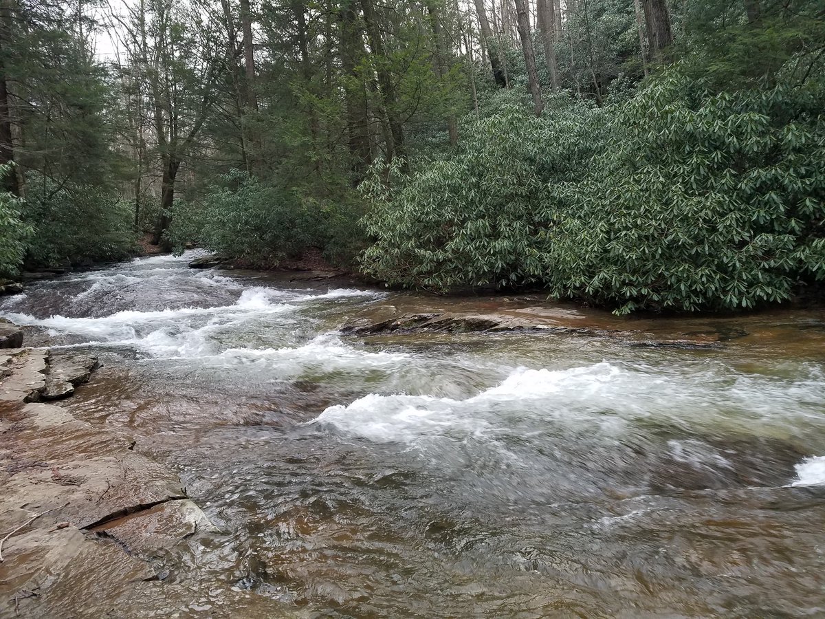 fiestaverde's tweet photo. Went wandering around #LinnRun today. I misjudged the temperature and may have been slightly underdressed. -__- https://t.co/CHQ6ByJYR8