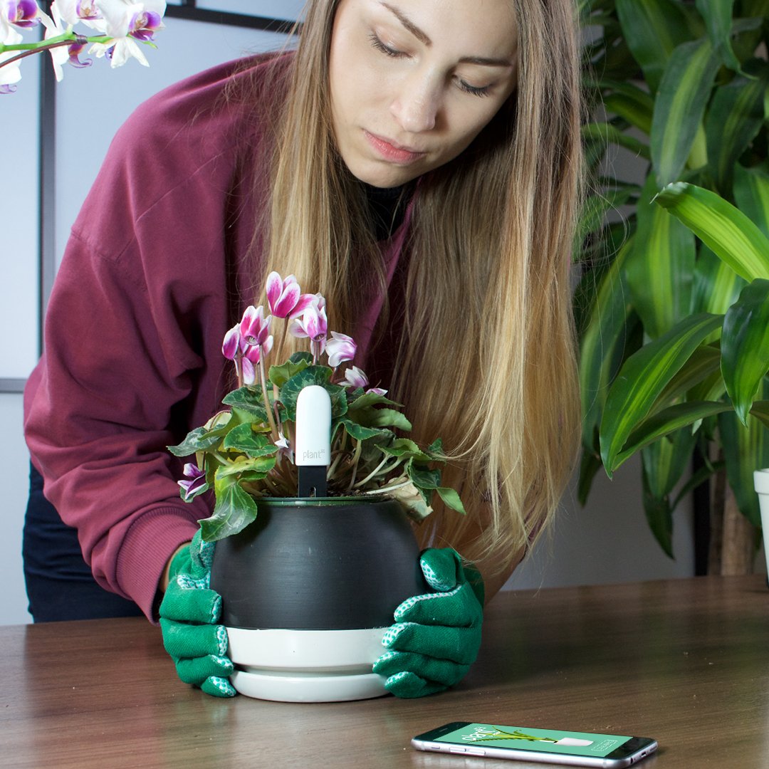 rizen_dot_io's tweet photo. Did you know that having an #indoorgarden is a great stress reducer?
#rizen #plantplus #flowers #nature #garden #peaceful #plants https://t.co/nBoF9XHof1