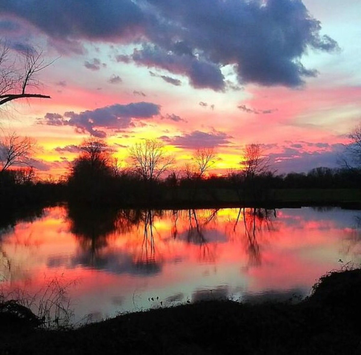 TexasHumor's tweet photo. Texas: no filter needed 😍 https://t.co/GRQ5ekP6lQ