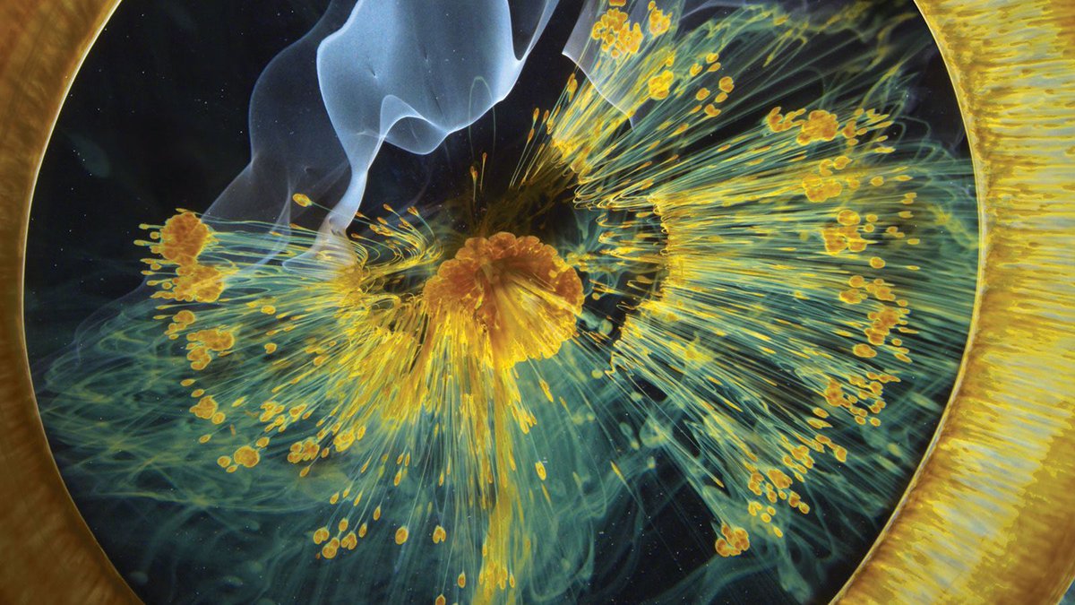 Eric Hynes finds the hubris &amp; humility in #TerrenceMalick's first work of nonfiction: filmcomment.com/article/terren… via <a href="/FilmComment/">Film Comment Magazine</a> <a href="/eshynes/">Eric Hynes</a>