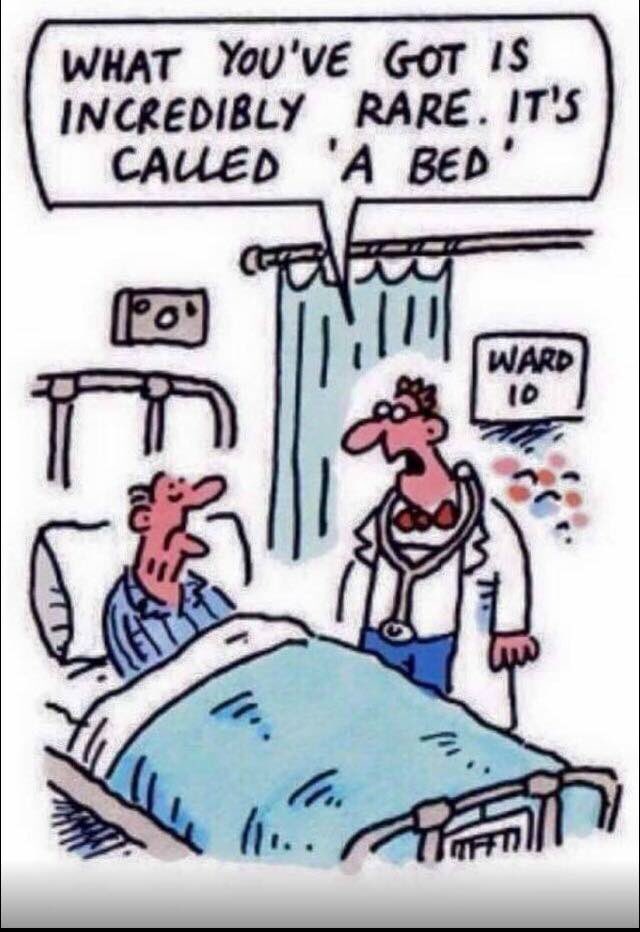 Francesca Rubulotta (@frubulotta) on Twitter photo 