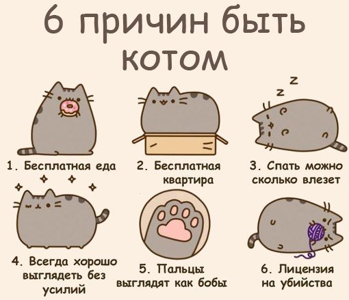 lediX9's tweet photo. https://t.co/islEvLn86y