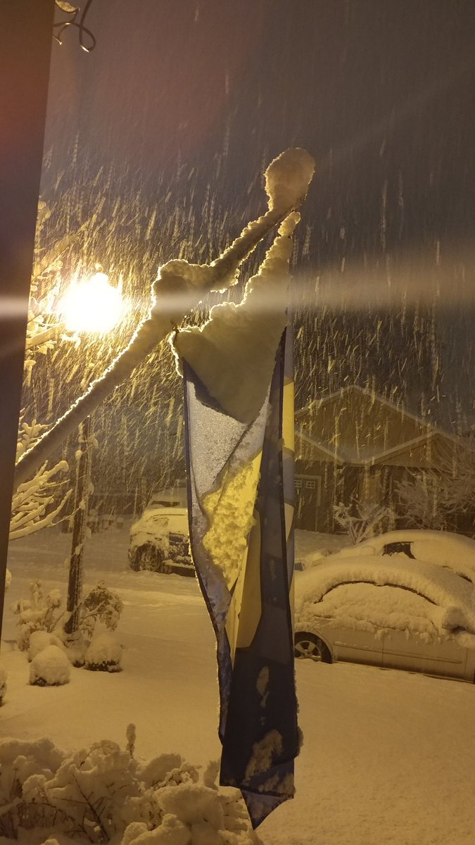speedfreek2007's tweet photo. Even through the snow storm,the #12thMan flag flies @Seahawks @DangeRussWilson @RSherman_25 #gohawks #thedaybefore #BlueFriday https://t.co/vOnrqiURO1