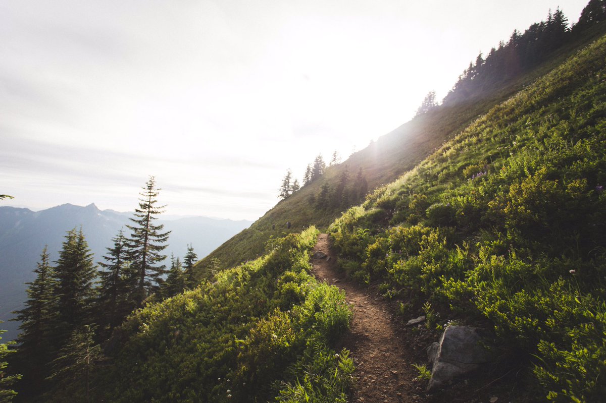 Masonprender's tweet photo. Backpacking in Washington 🌲 #develop your vision https://t.co/jyAMquyrLI