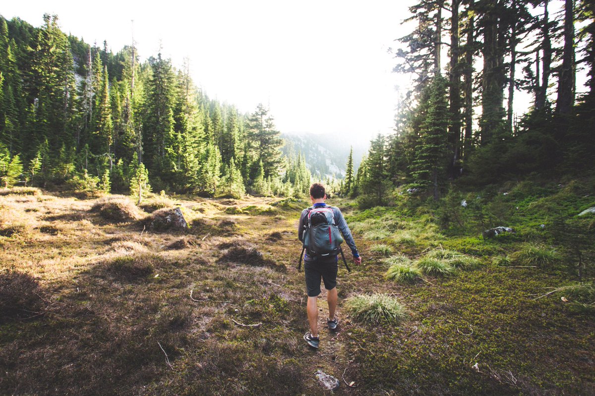 Masonprender's tweet photo. Backpacking in Washington 🌲 #develop your vision https://t.co/jyAMquyrLI