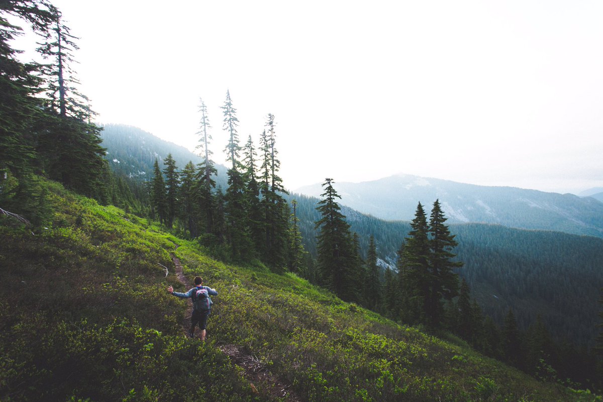 Masonprender's tweet photo. Backpacking in Washington 🌲 #develop your vision https://t.co/jyAMquyrLI