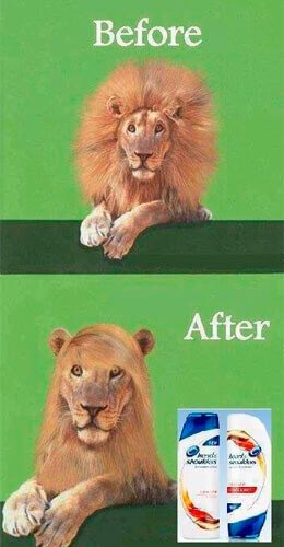 _jferrer's tweet photo. #humor #creatividad #ad https://t.co/gldpOibQDV
