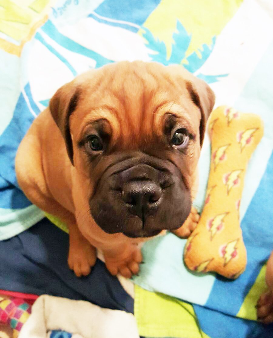 TreeFranklyn's tweet image. Is it possible to be happy even when you&apos;re sad? bit.ly/2ip9SRf