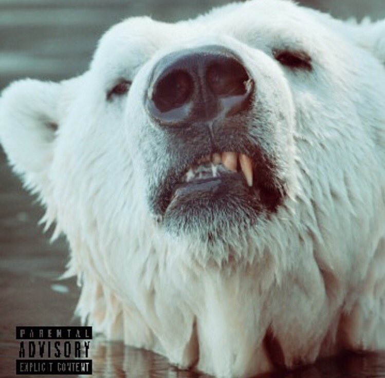 dreamcrew919's tweet photo. New song!! @yasiemcee Ft. @prodyzaya #YCN ❄️ LINK IN BIO CHECK IT OUT!! #Raleigh #NC #HipHop #Rap #SoundCloud #Support #Cold #PolarBear https://t.co/jdR1xgYYKw