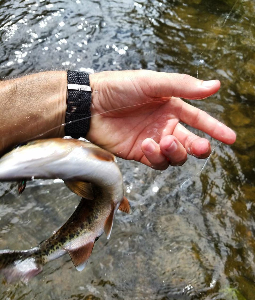 Compass360gear's tweet photo. It's Fish Flop Friday. Photo by ambassador @jwo_ods  Tag us with your catch for a chance at a repost. Stay dry out there #Compass360gear https://t.co/rwW2EQ2DKk