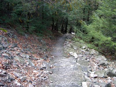 RunDestination's tweet image. Standing Stone Trail 
(Pennsylvania)