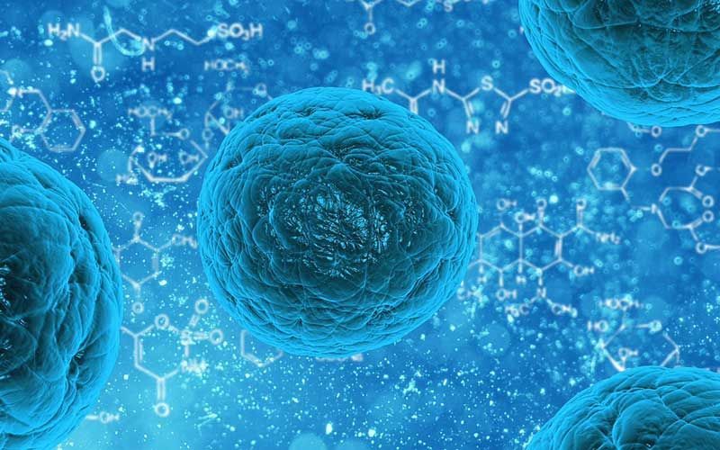 jserranodf's tweet photo. Documental "Dentro de la célula / Inside the cell" 🔬 ➡ https://t.co/hTPbOLxQJd por @Sonicando vía @Naukas_com https://t.co/cJ8WmNU1xW