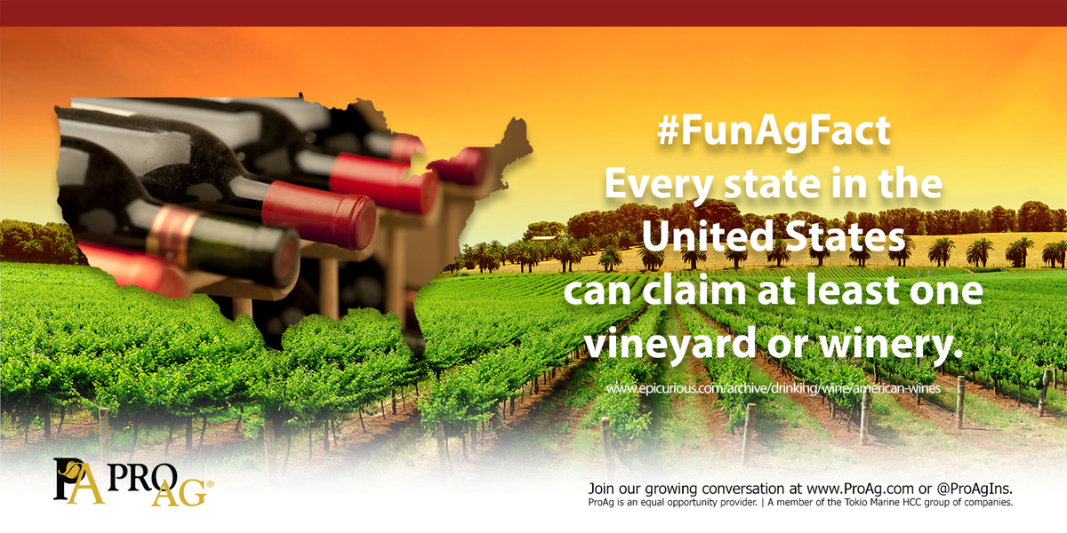 ProAgIns's tweet photo. Today's #funagfact is about #grapes and #wine! Yay! Let's open a bottle. It's Friday, right?! Time to support our fellow farmers. https://t.co/xQfy9tRQTI