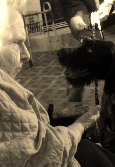 PheasantLEC's tweet photo. "They motivate us to play, be affectionate, seek adventure, and be loyal." -Tom Hayden
@PheasantALF #Frontierculture https://t.co/XNydZBgpBP