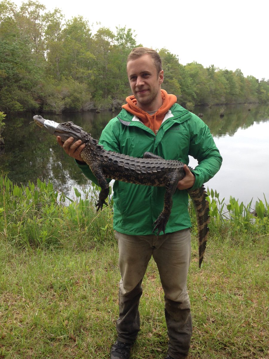 AbsLawson's tweet photo. #FF Give @HaleOnScience a follow! Studies #crocodilian repro development and EDCs, talented photographer, and #ToCatchAGator captures https://t.co/FADVqYgDoq