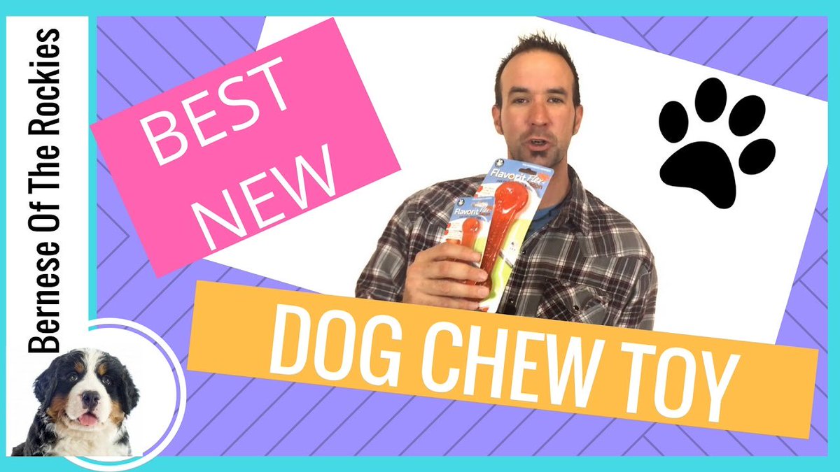 RevivalAH's tweet photo. Check out the video review our friends at @BerneseColorado did for our new bacon Flavorit Flex Toys! #bacon #dogtoys https://t.co/t1prZyltWG https://t.co/LHekBrzLrm