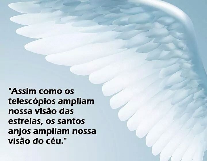 Padre dos Anjos (@padredosanjos) on Twitter photo 