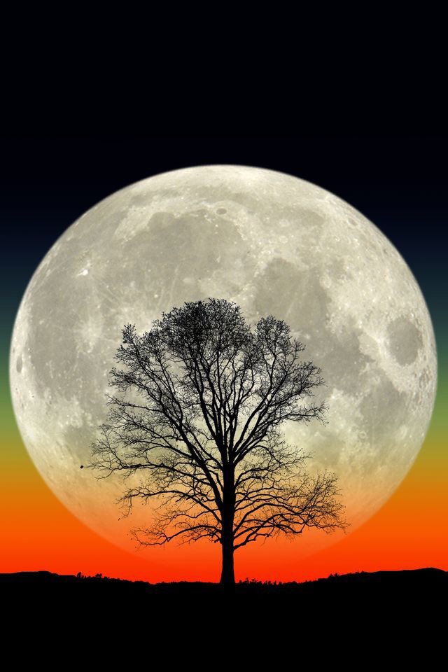 ter_lotte's tweet photo. @GulzaarRana @dct_ihjc @SS99957971 @ranasilvia63 @Luna_Om90 💛 https://t.co/QeICZayoME