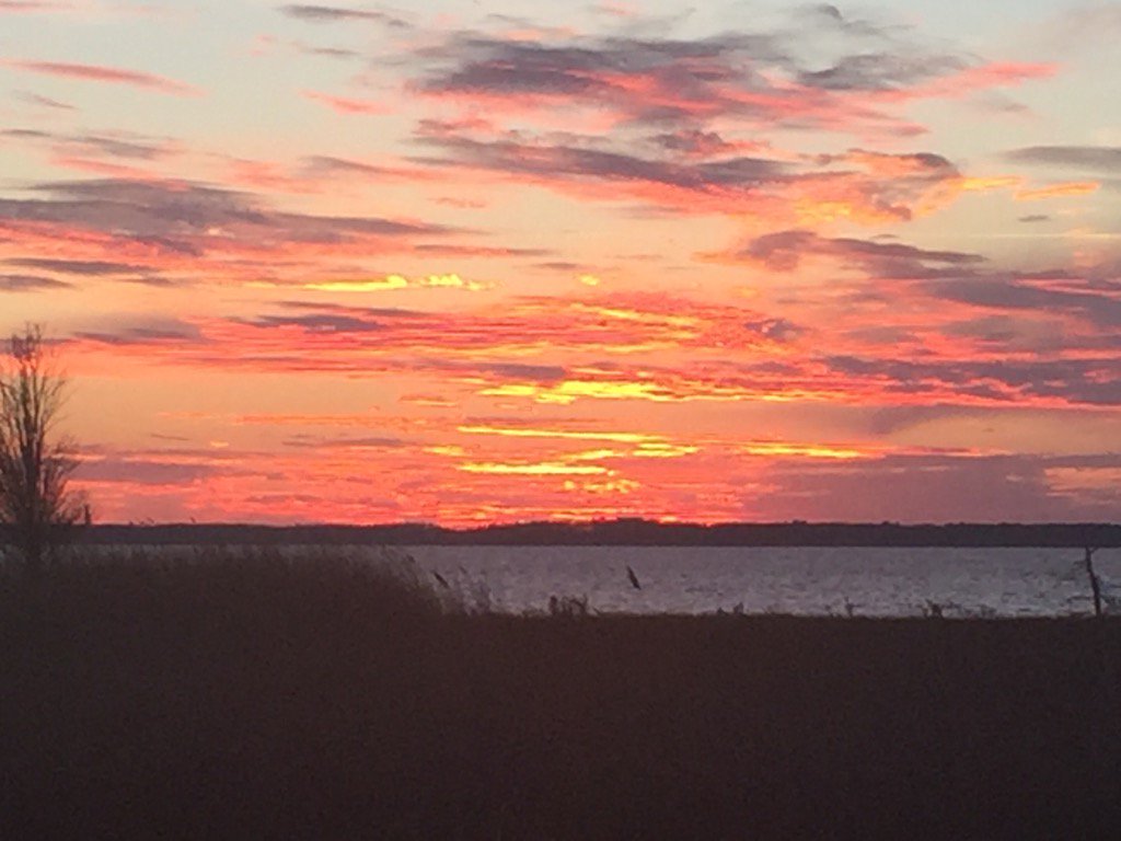 MarlaFeldman1's tweet photo. @putitaway Beautiful sunset in Bethany https://t.co/WCdmM8q8nG